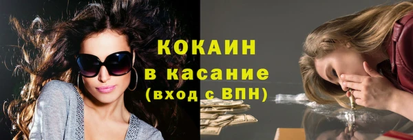 гидра Алексин