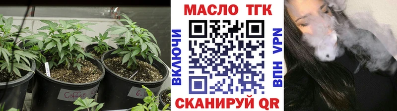 закладка  Райчихинск  ТГК Wax 