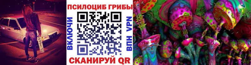 darknet клад  Райчихинск  Псилоцибиновые грибы ЛСД  MEGA ссылка 
